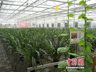 中国西南最大农产品交易所在北川投入运营_财经_腾讯网