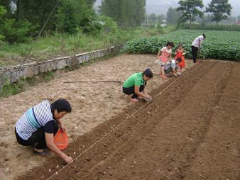 大蒜种植益富源种植专用营养液发酵菌液什么价格_农副产品栏目_