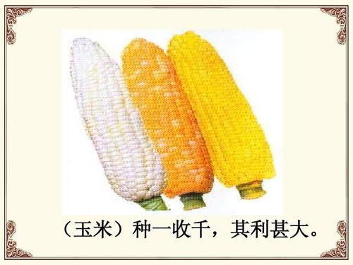 高考热点 明清时期的经济