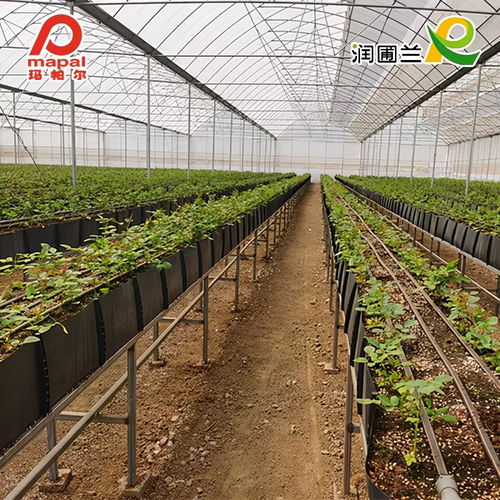 新品上线 可以 卷 的种植槽,轻便简易,一举多得