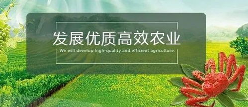 生物农药 氨基寡糖素的市场前景广阔