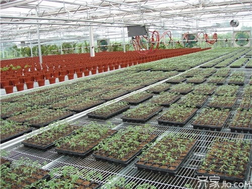 园艺设施的类型 园艺设施的作用