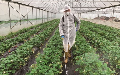迈向种植需求方案提供者