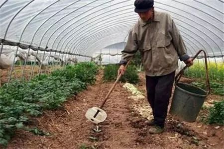 春耕用肥高峰有 禁忌 ,这13个用肥错误不要犯