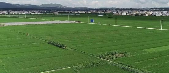 这65万亩的耕地,在涿州现状究竟如何?