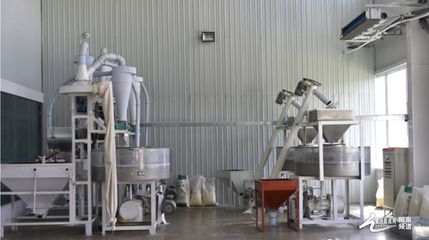 种植加工一体化 盂县“辰厚、佳珍”产业发展持续发力