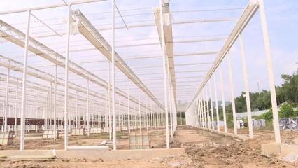 缓解城市“菜篮子”难题!水木莫干山都市农业综合体项目建设顺利推进丨奋战·全年红