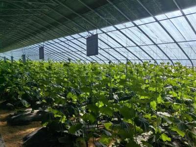 金谷集团:5G技术为农业种植装上“智慧大脑”