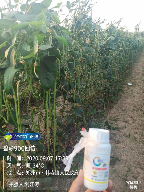 为什么你种植的作物产量要比别人低,你可能少了这个