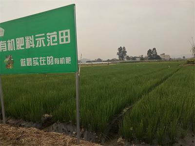 四川聚合奕达有机肥助你实现农业创收,迎来丰收季!