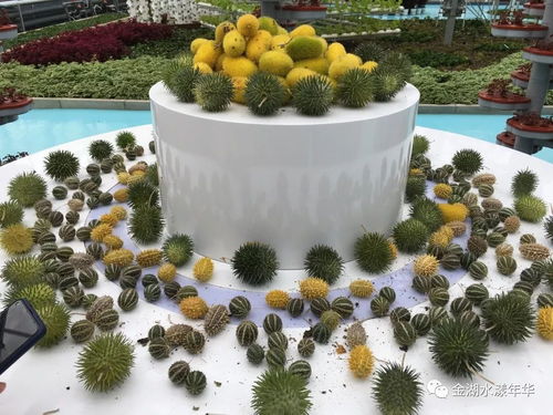 想打造一个受欢迎的休闲农业科普教育基地 你需要这样做