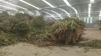 遵义市“秸”尽全力推动农作物秸秆综合利用