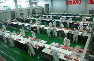 巴彦淖尔 从田野到市场的农作物收购全景图