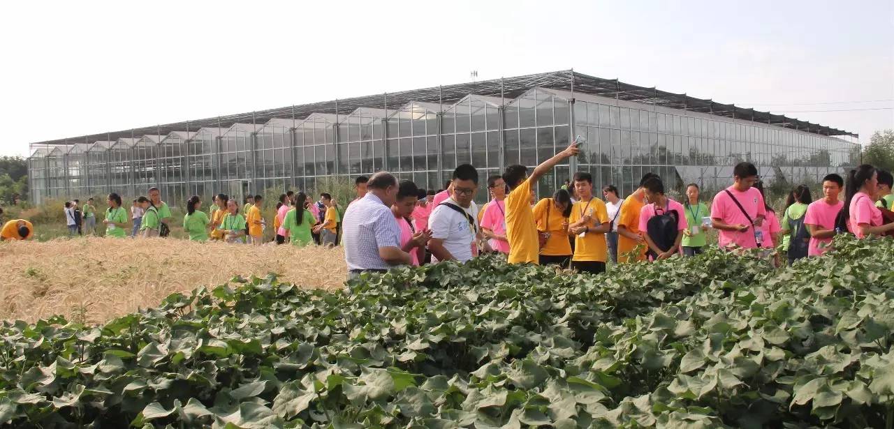 体验农作物种植 做勤俭节约好青年
